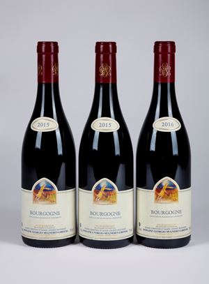 Selezione Domaine Georges Mugneret-Gibourg Bourgogne Rouge