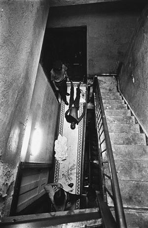 Freed Leonard - Drug overdose, New York City