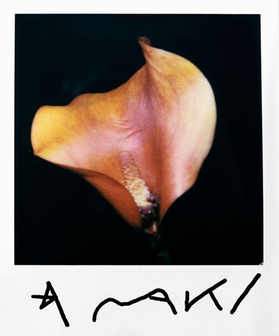 Orange Kala - Polaroid, cm 10,4 x 8,8