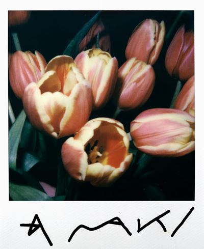 Tulips, Polaroid, cm 10,4 x 8,8, anni 2000