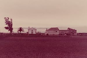 Lesina