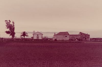 Lesina