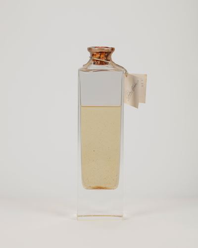 Pietro Maschio, Grappa Santa