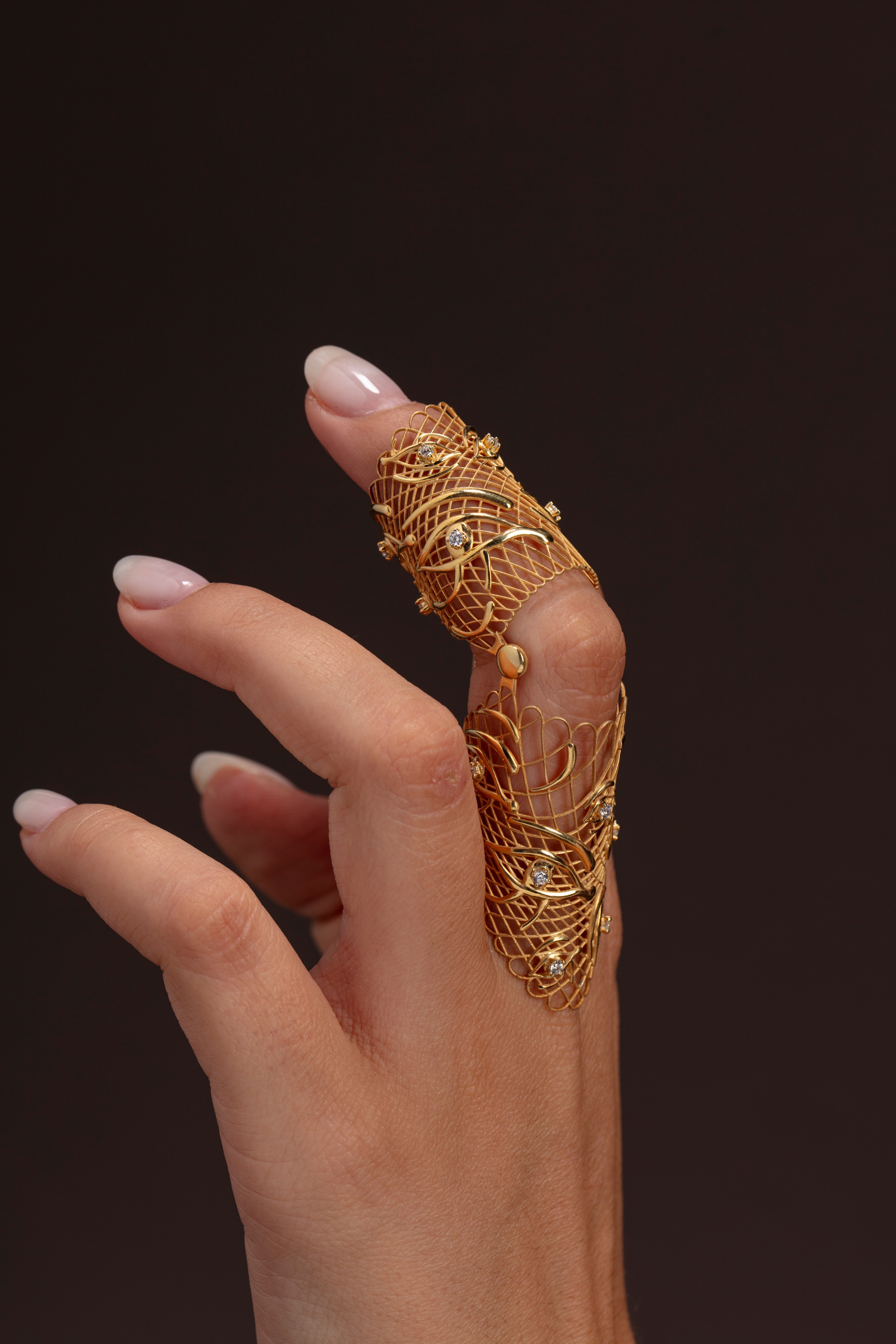 Anello Armatura Edera 1