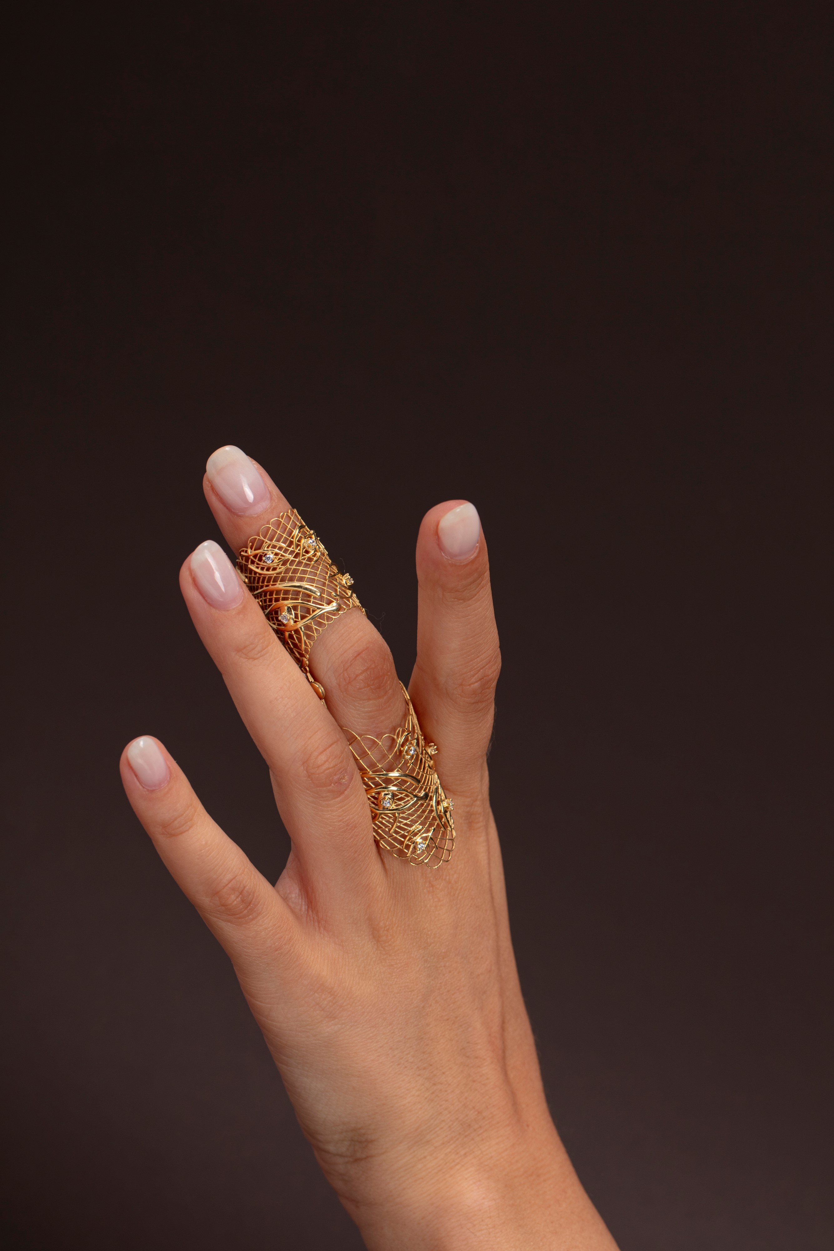 Anello Armatura Edera 2