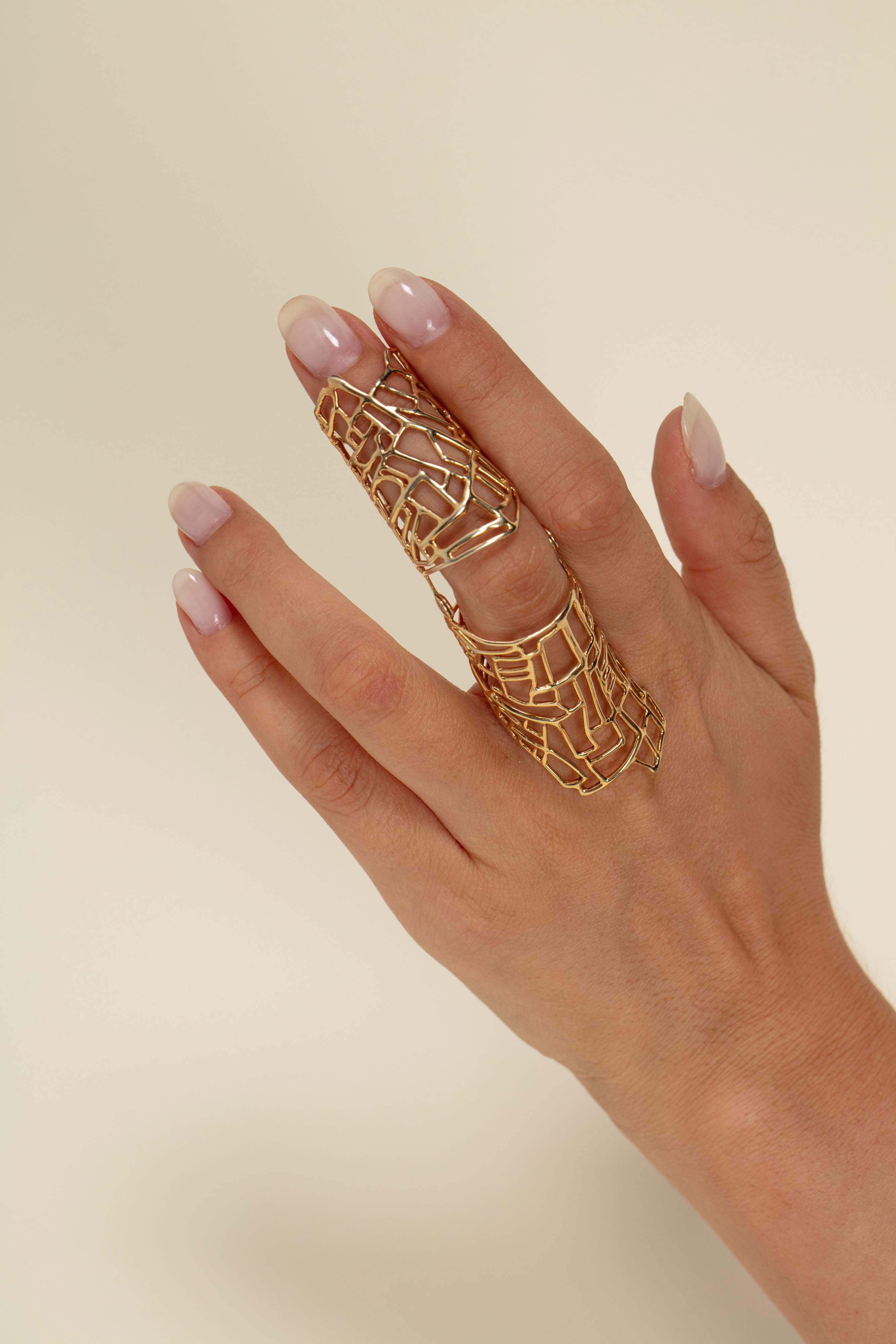 Anello armatura Edera 3