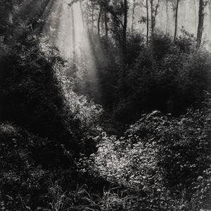 Strada villa Minozzo-Quara con Wanda