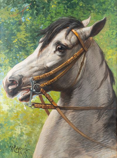 Il Cavallo Bianco