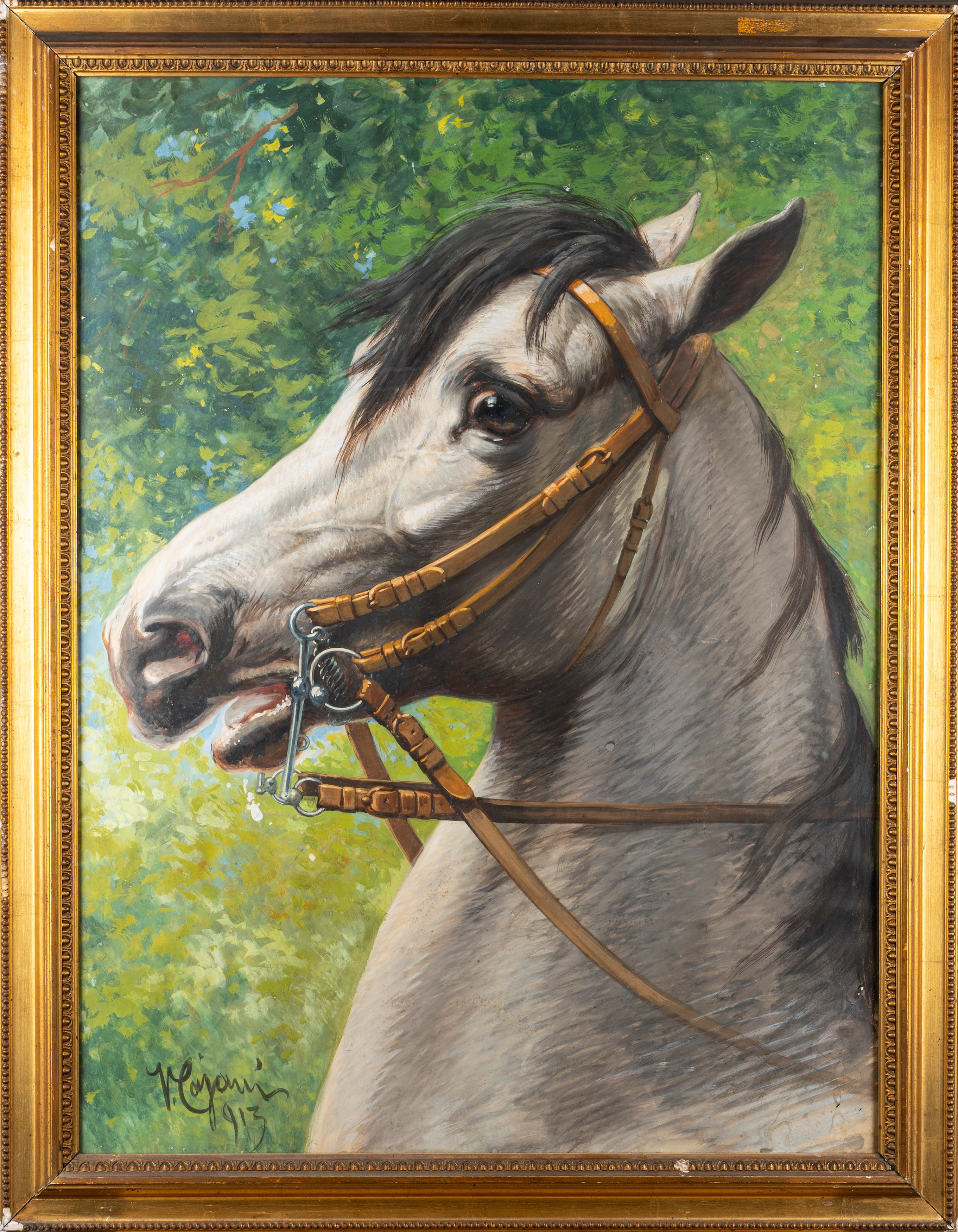 Vittorio Cajani - Il Cavallo Bianco