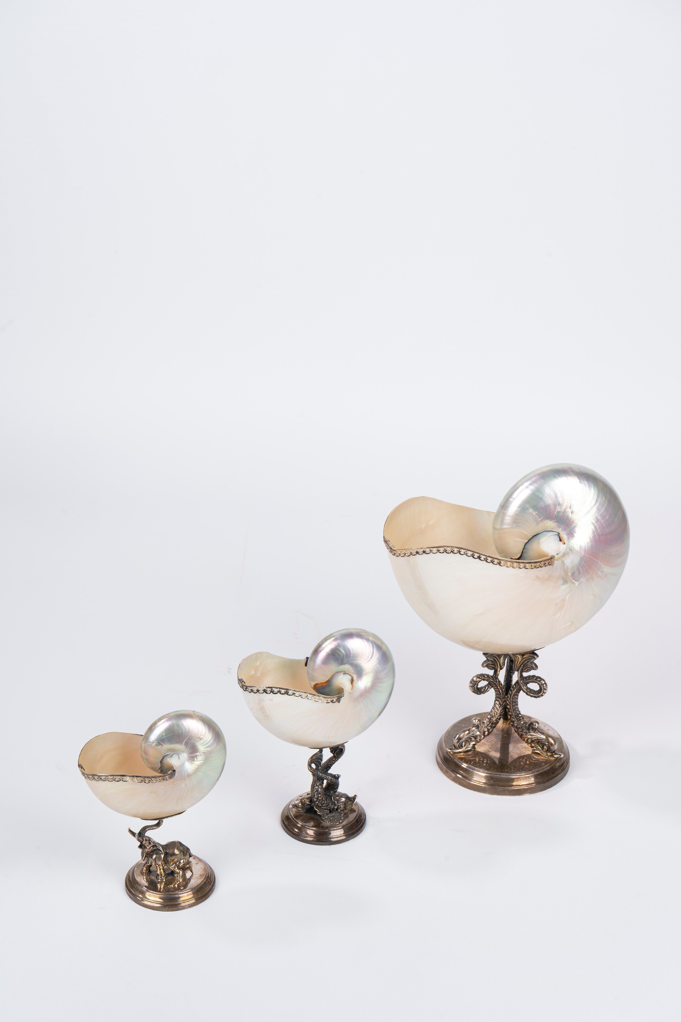Tre Nautilus con Base in Argento 800