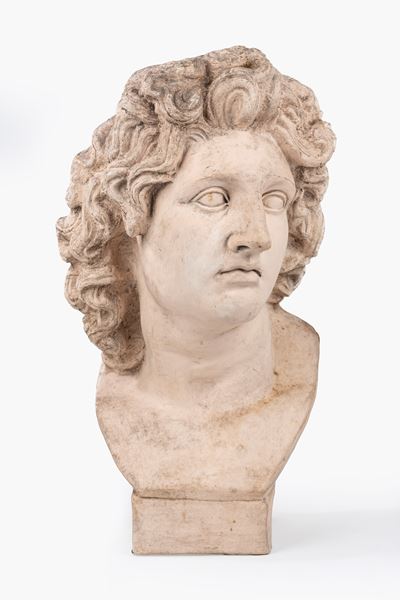 Busto di Alessandro Magno in Terracotta