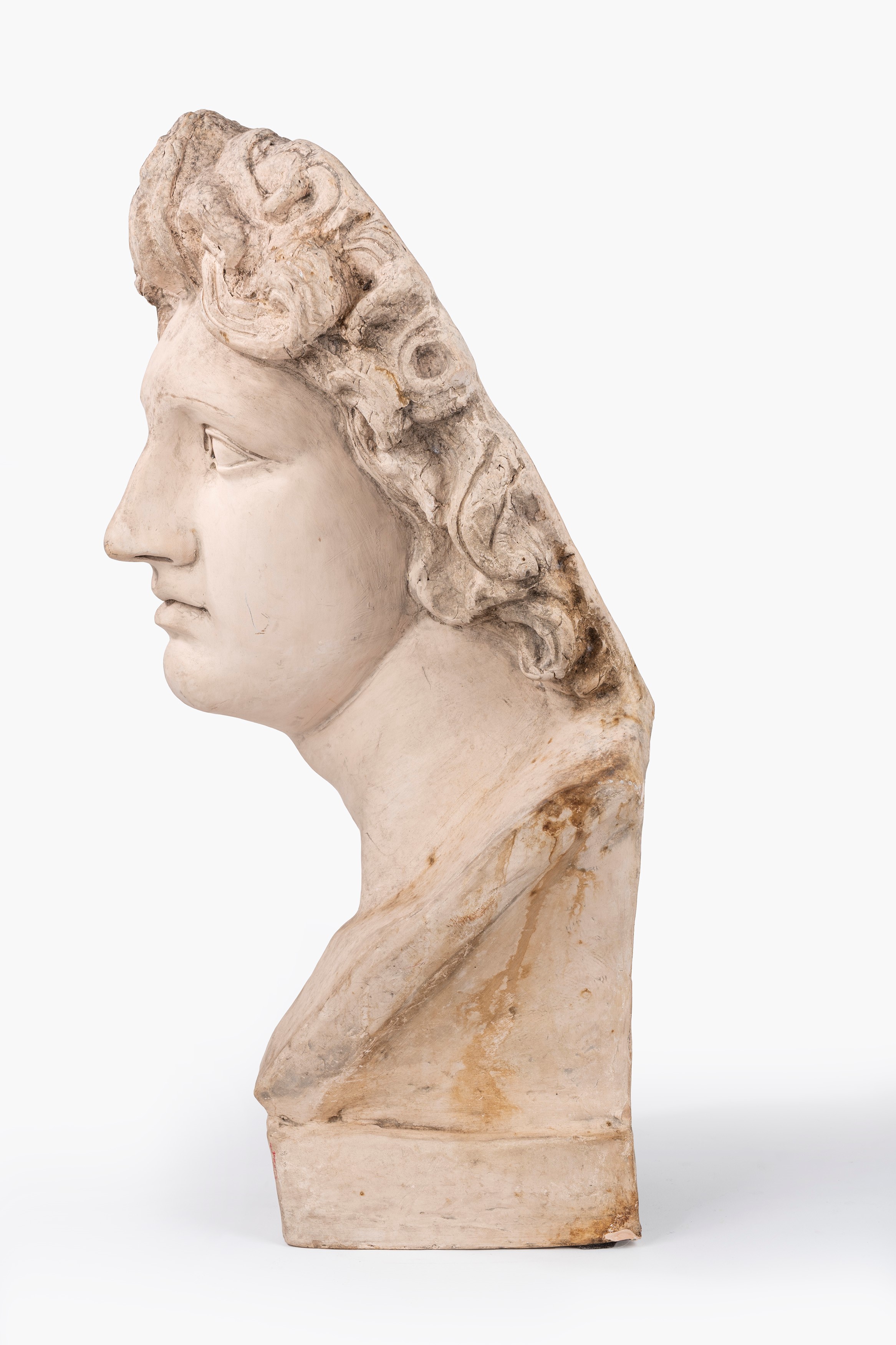 Busto di Alessandro Magno in Terracotta