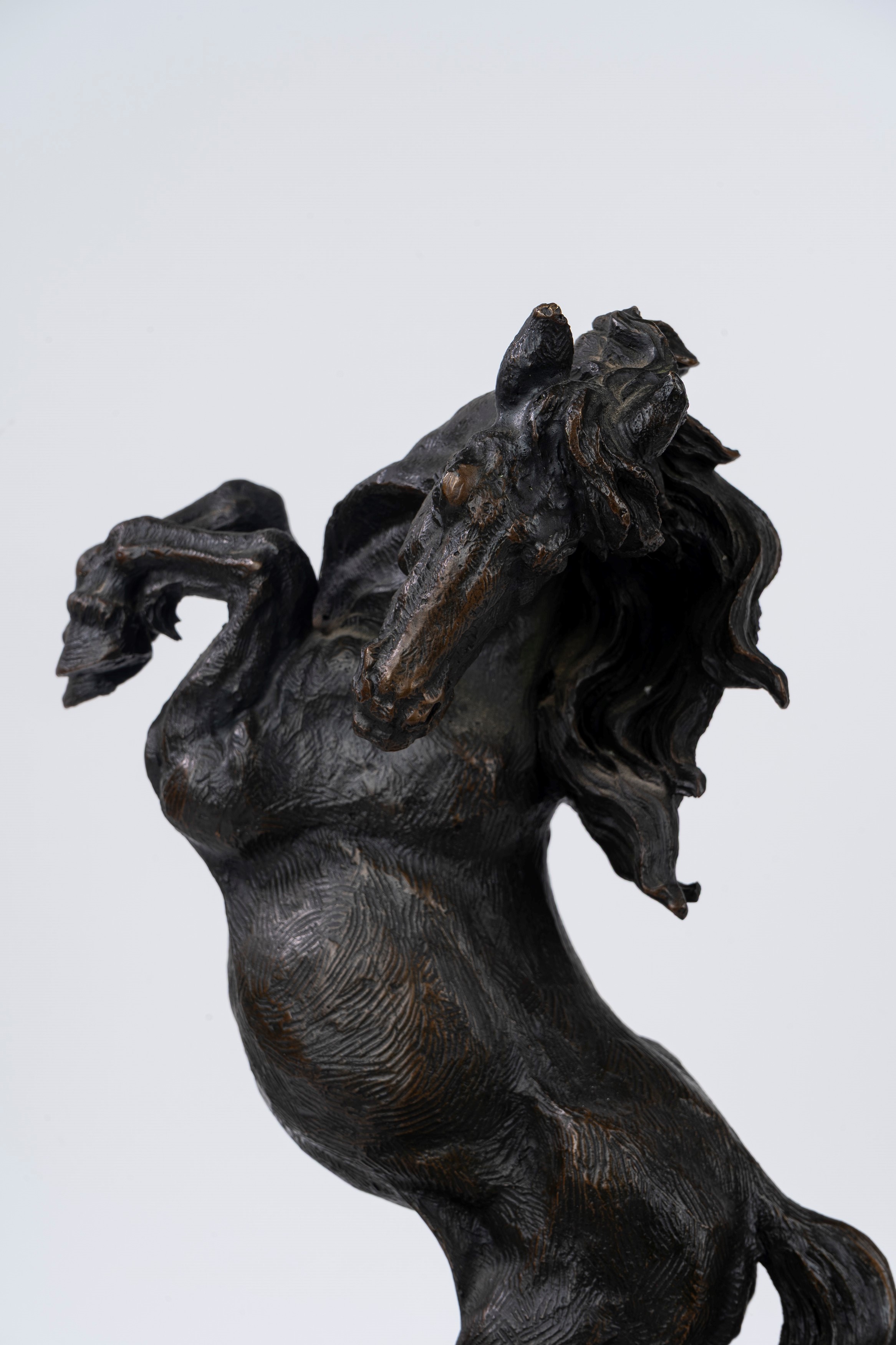 Scultura in bronzo a patina scura, raffigurante due cavalli che lottano, secolo XX