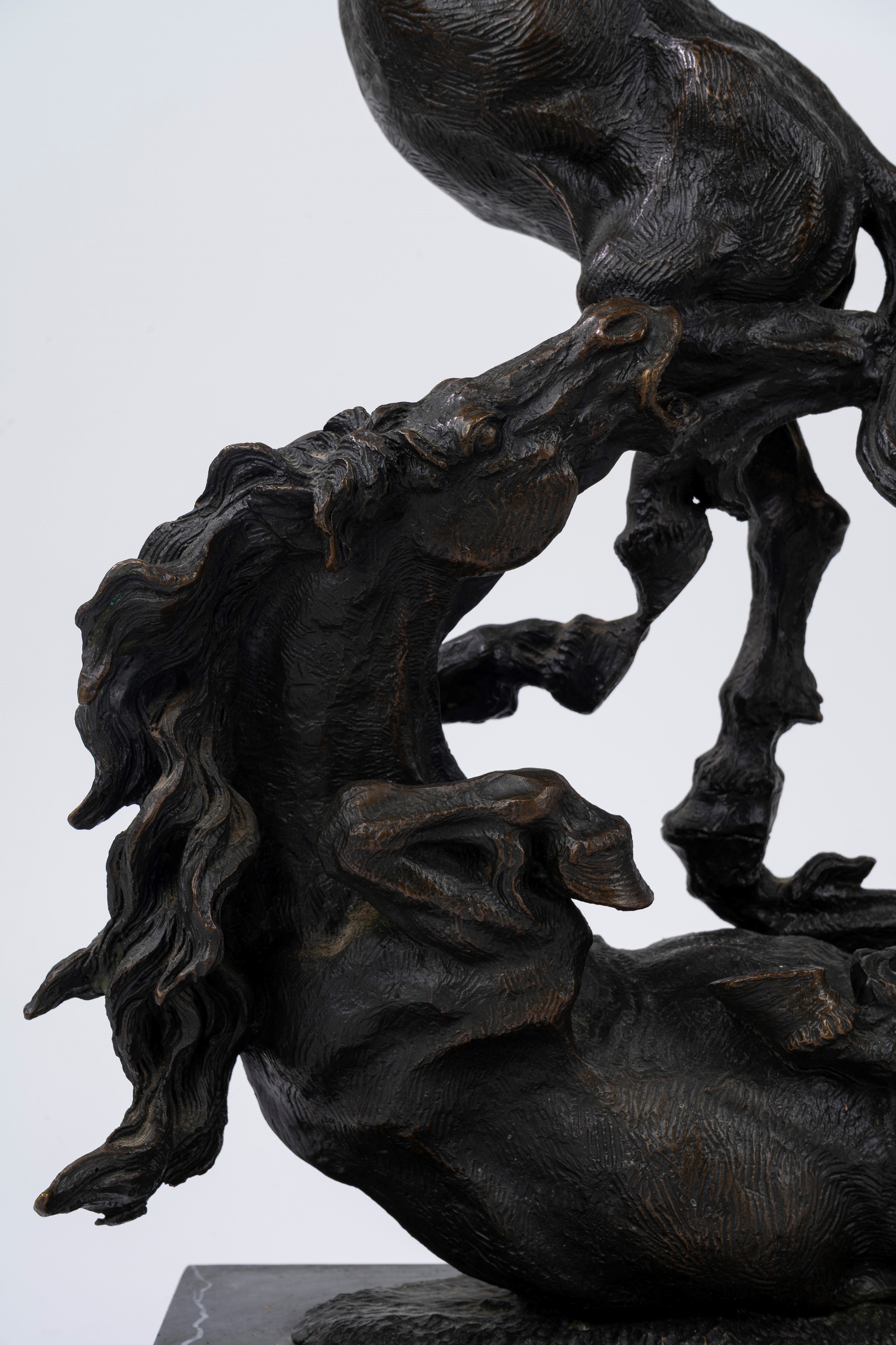 Scultura in bronzo a patina scura, raffigurante due cavalli che lottano, secolo XX