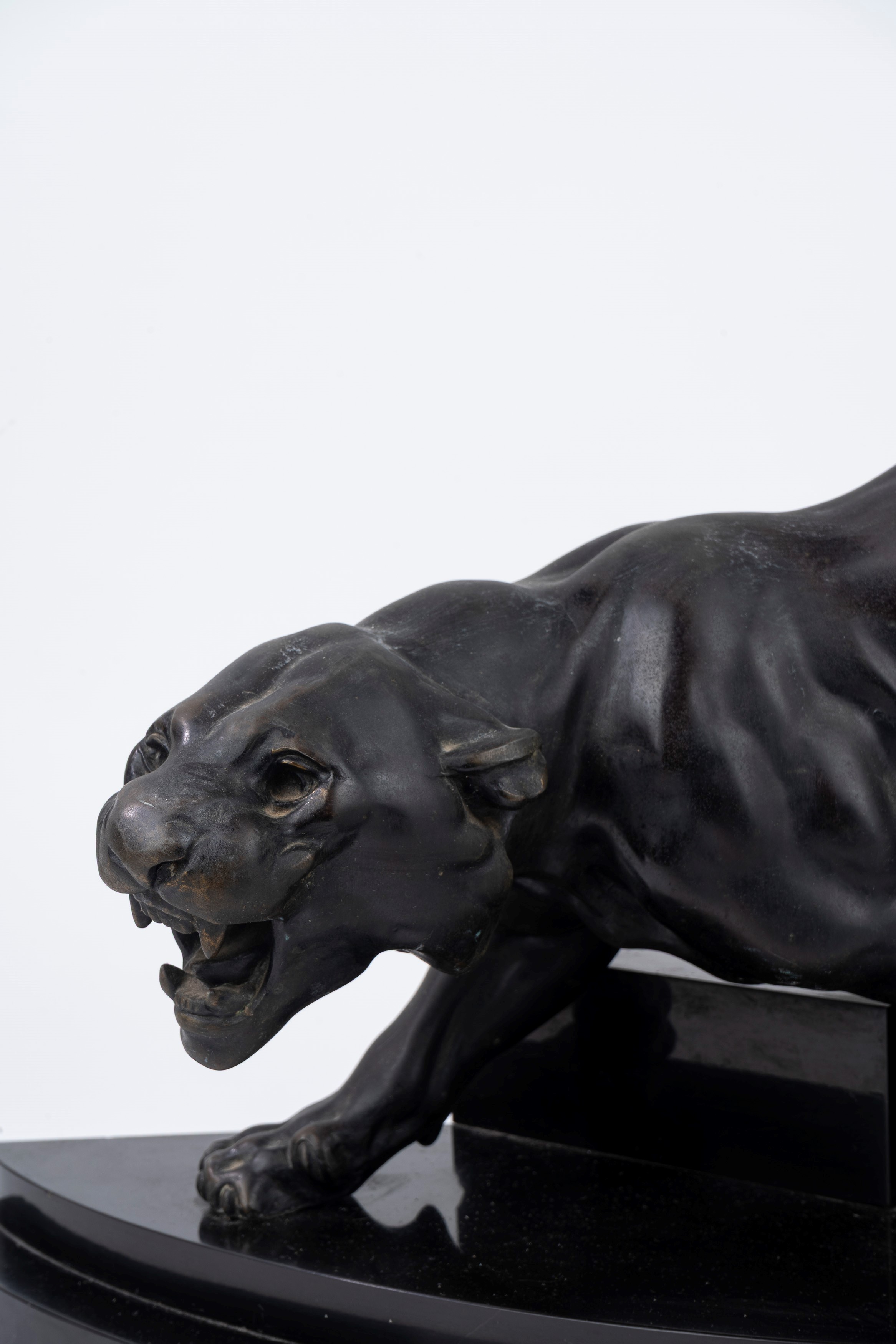 Grande scultura in bronzo su base in marmo nero, raffigurante pantera, anni '20-'30 del '900
