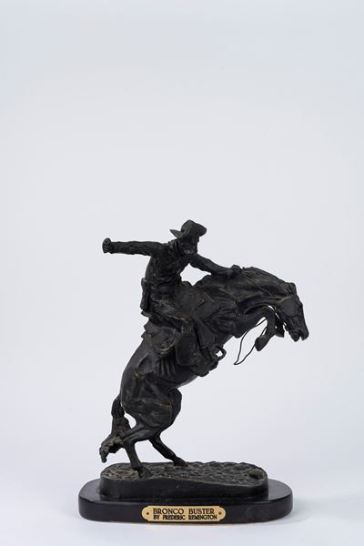 Bronco Buster