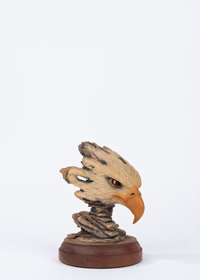 Aquila Calva