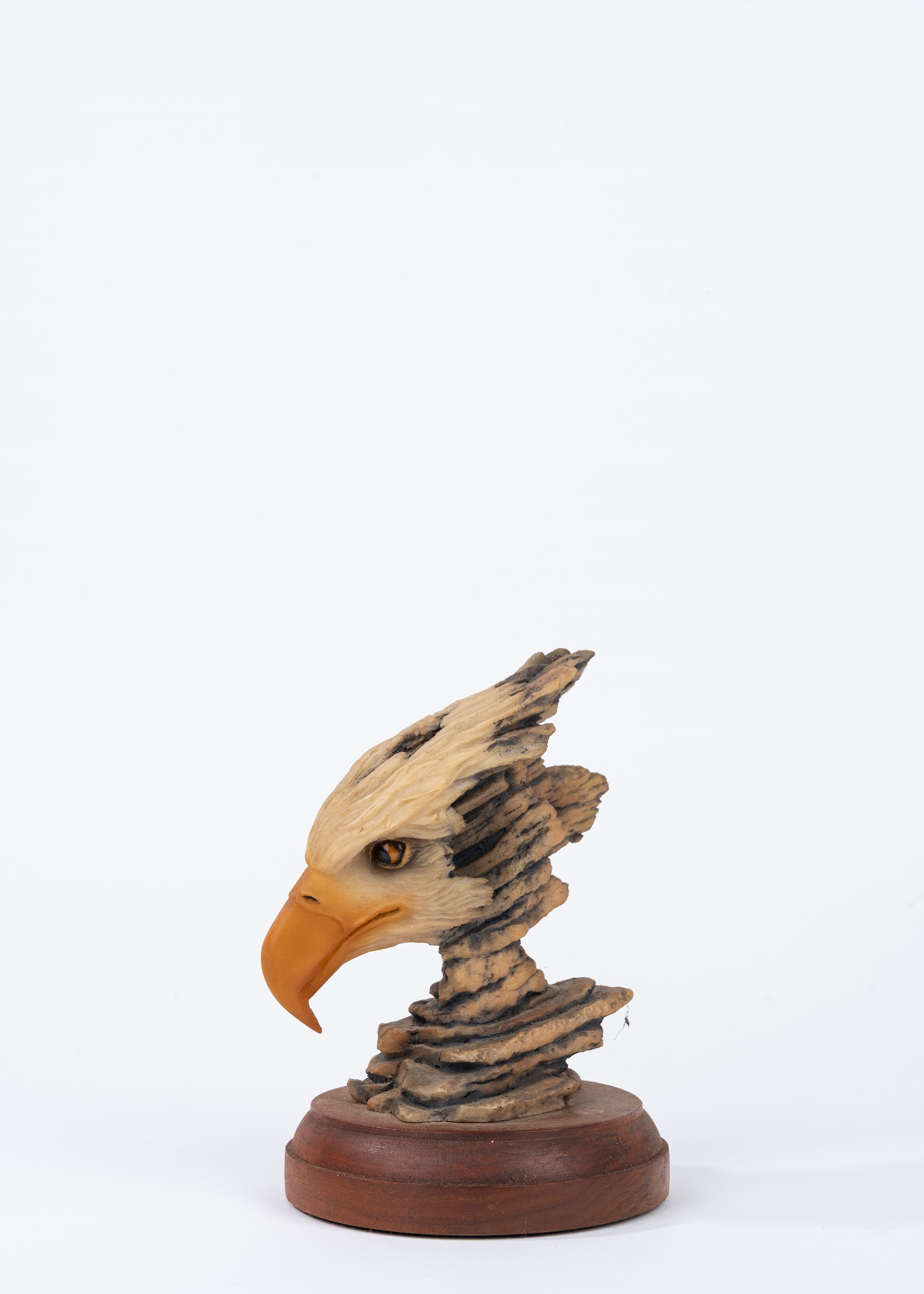Stephen Herrero - Aquila Calva