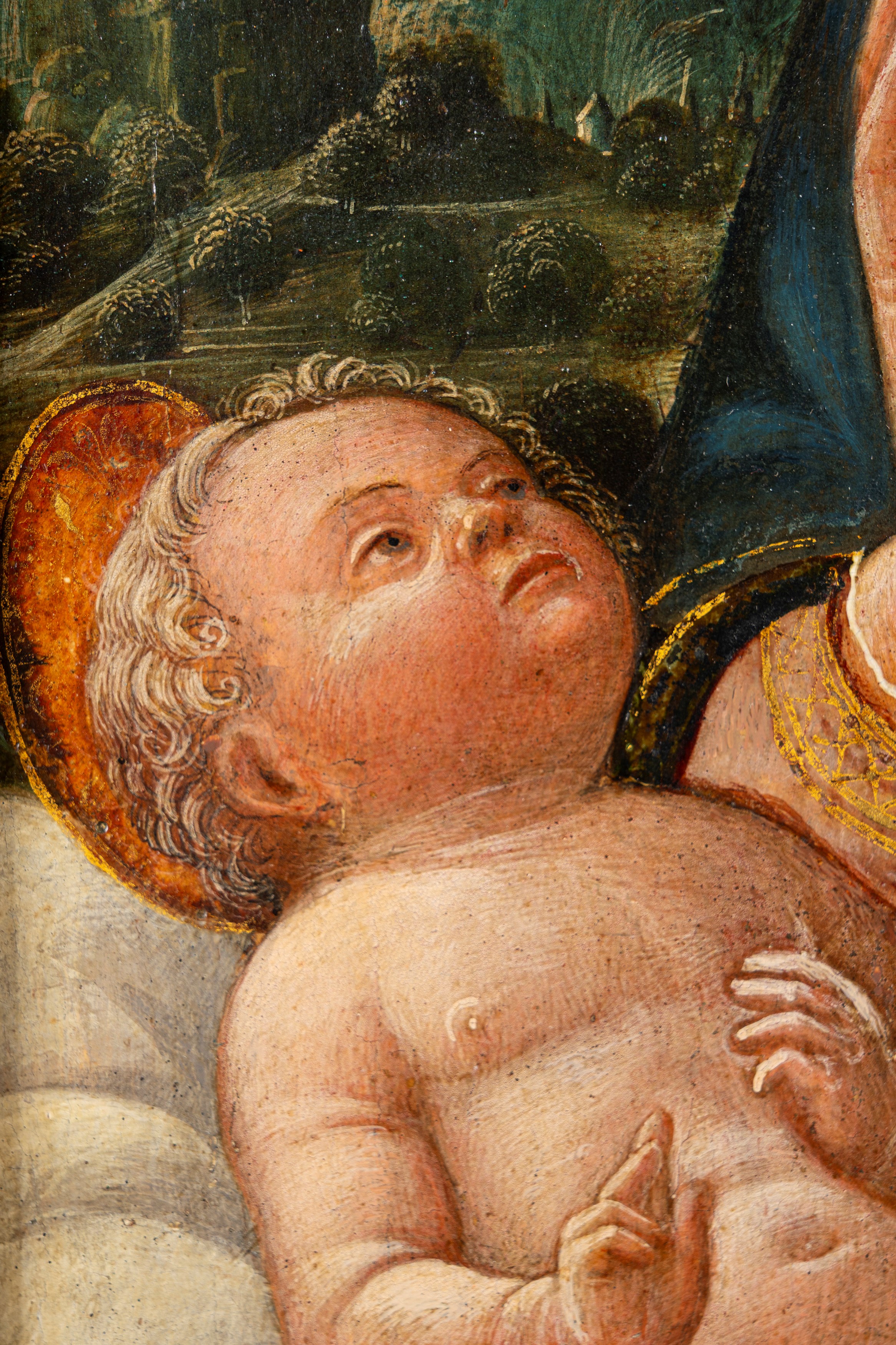 Jacopo Parisati, Detto Jacopo da Montagnana - Jacopo Parisati, Madonna con Bambino, olio su tavol...