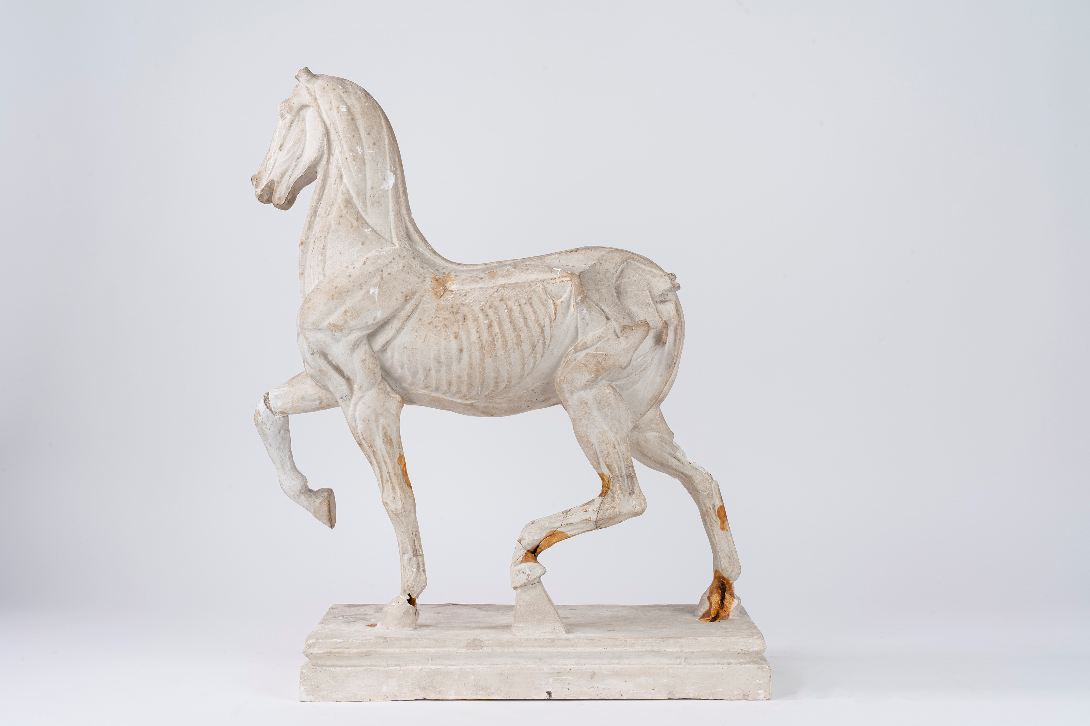 Anatomia di Cavallo, da Luigi Valadier