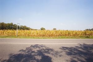 Via Emilia, Alseno, km 251