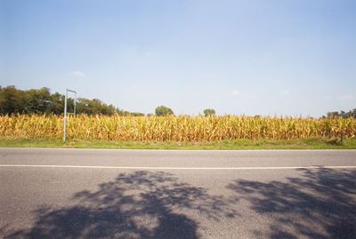 Via Emilia, Alseno, km 251, C-print vintage