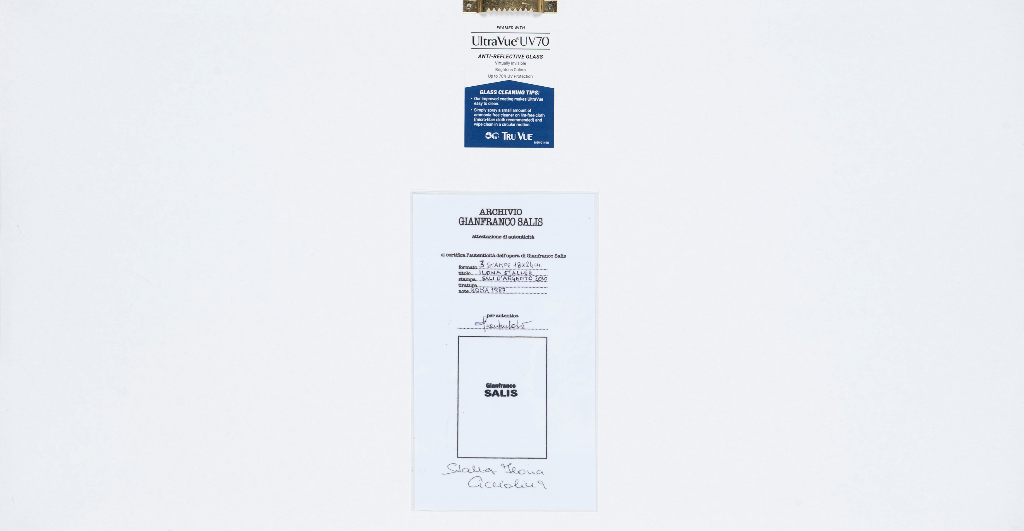 Ilona Staller, Cicciolina