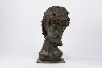 Testa virile, bronzo patina bruna