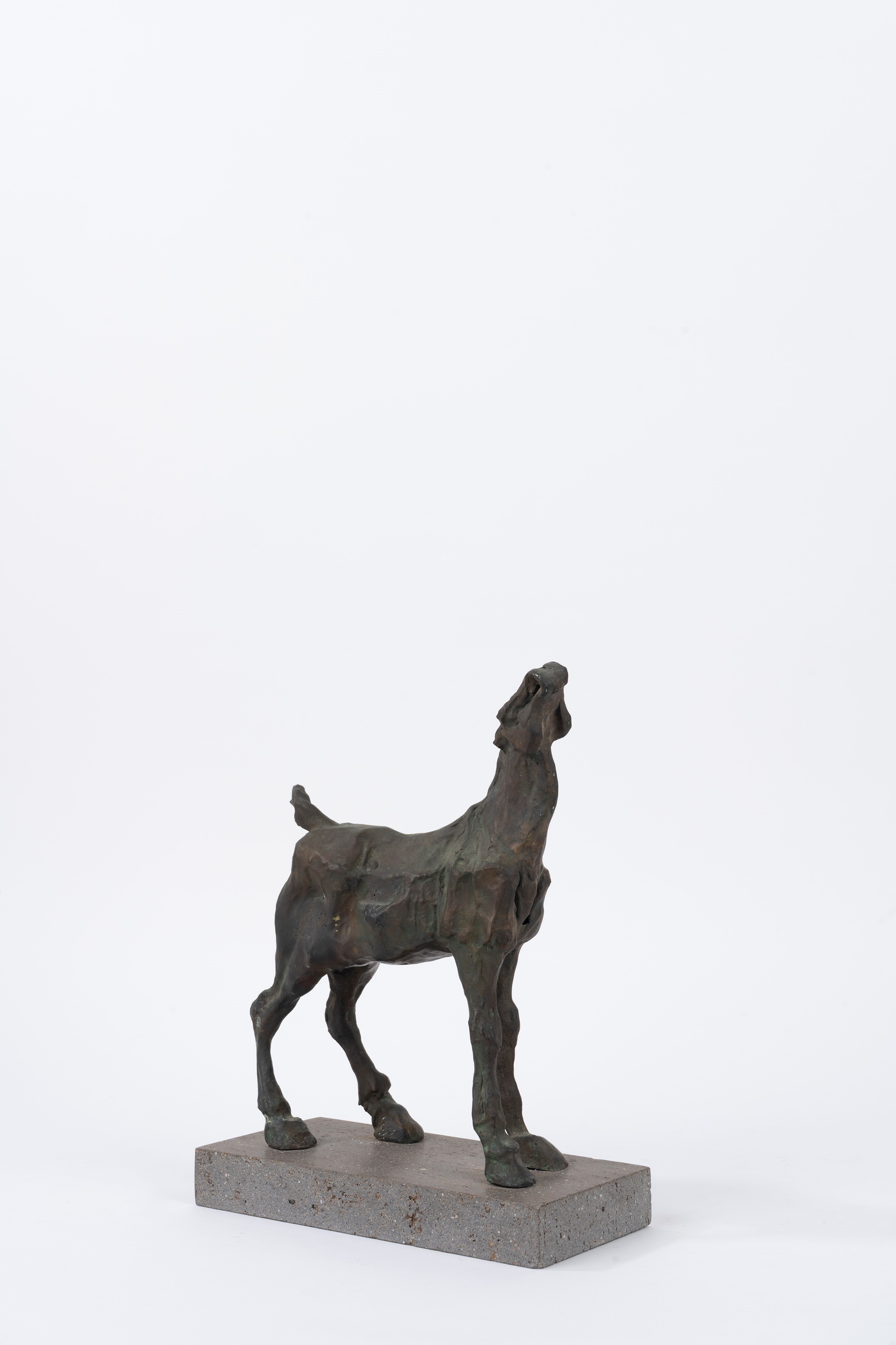 Cesare Baccelli - Cavallo