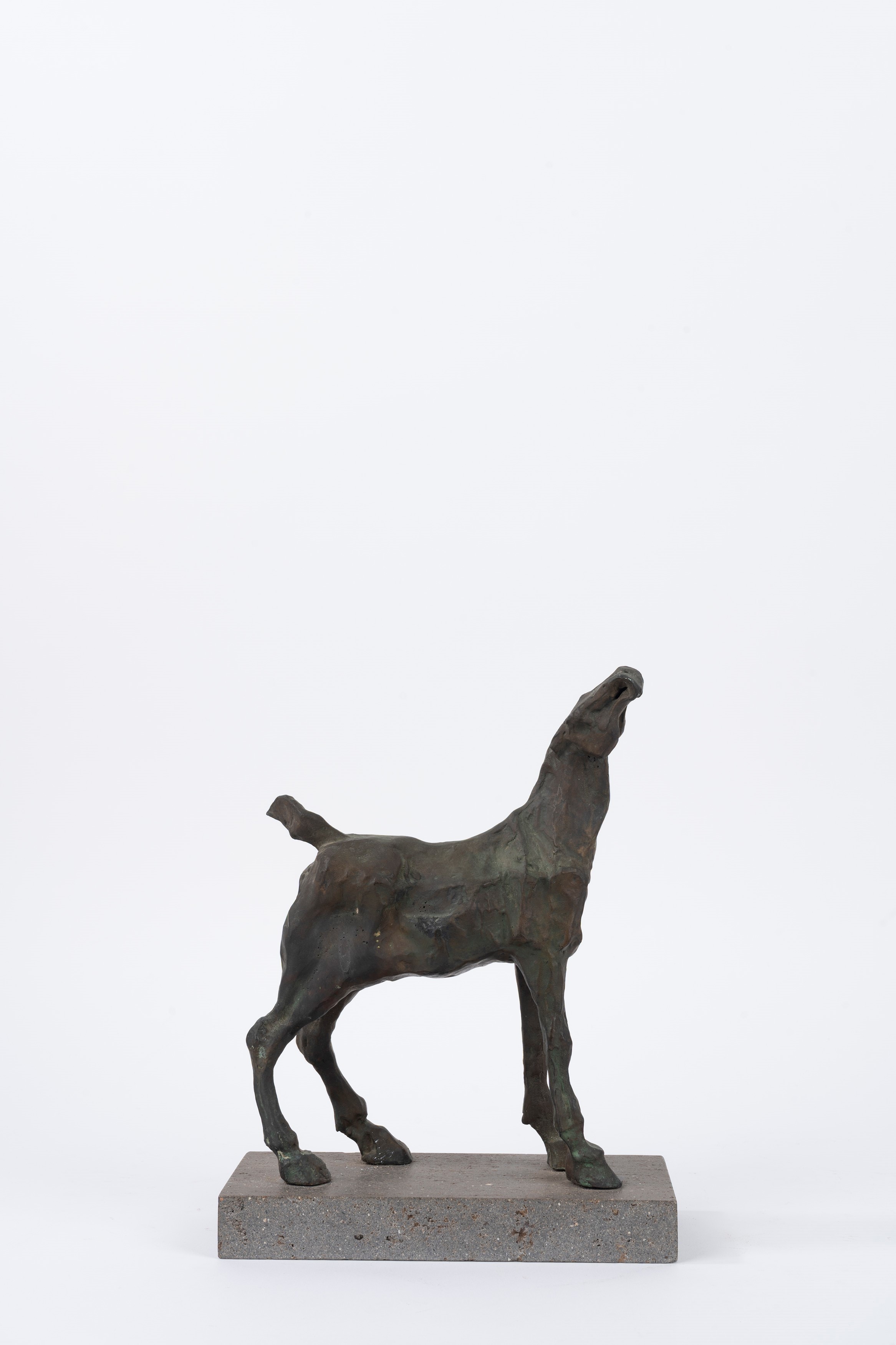 Cesare Baccelli - Cavallo