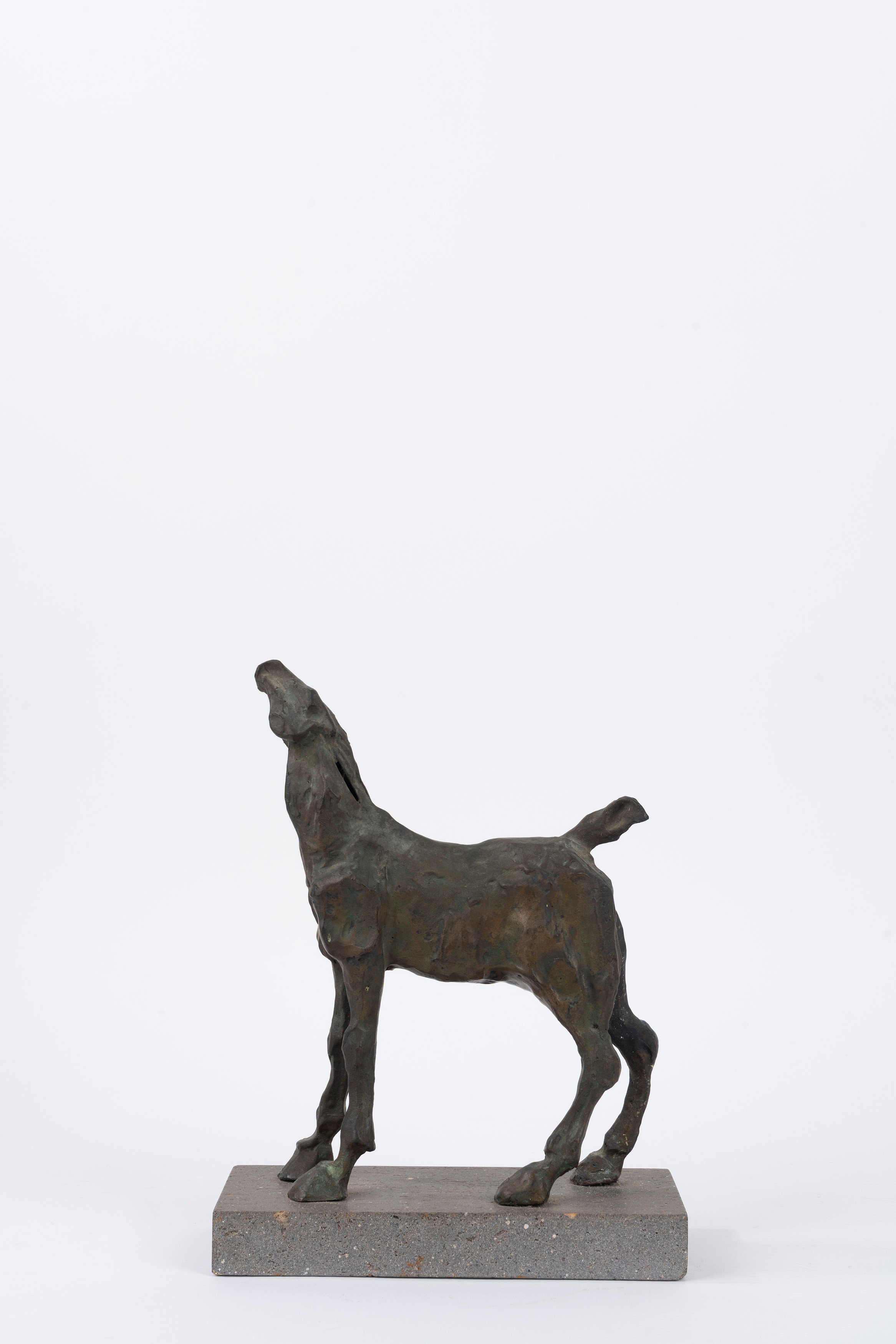 Cesare Baccelli - Cavallo