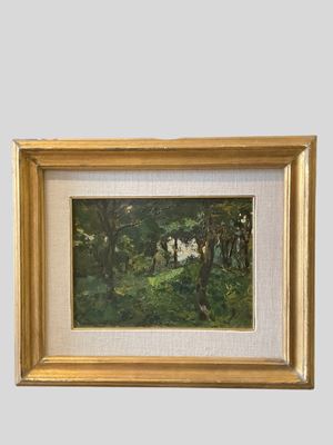 Al limitare del bosco