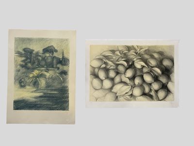 Limoni & Roma. Villa Balestra