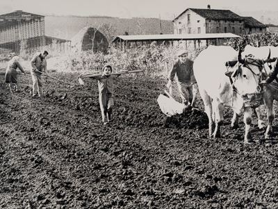 La Buona Terra, stampa vintage alla gelatina ai sali d'argento