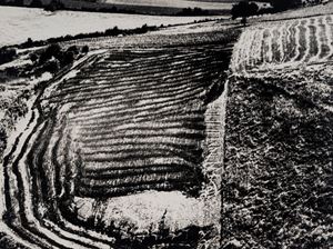 Presa di coscienza sulla natura