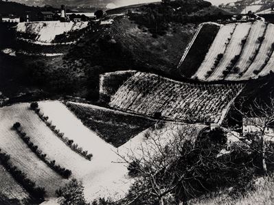 Presa di coscienza sulla natura, stampa vintage alla gelatina ai sali d'argento
