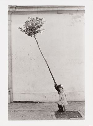 Petite fille, petit arbre, Espagne