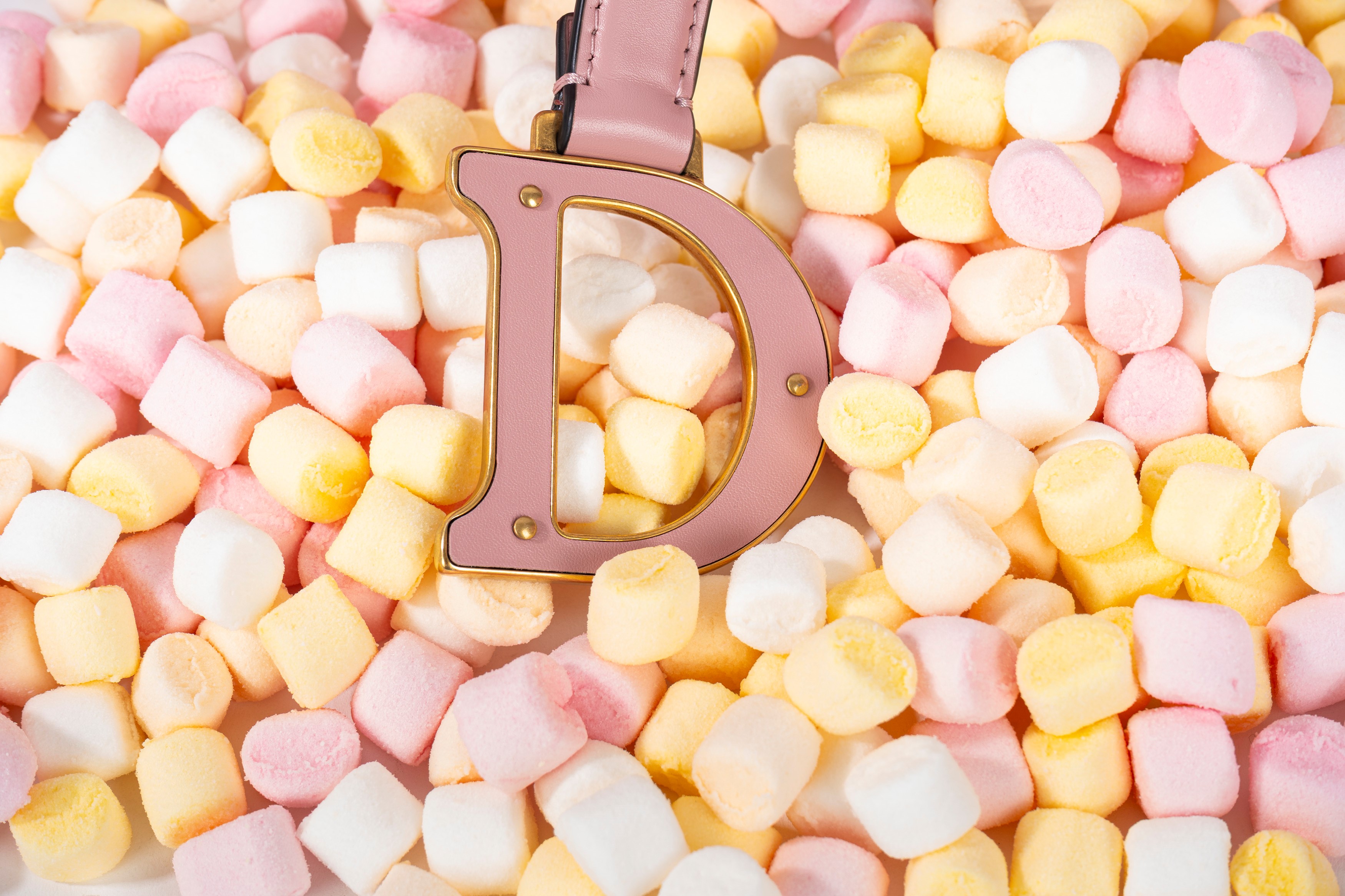 Christian Dior - Borsa Saddle in pelle rosa cipria