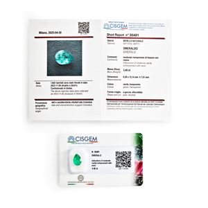 Smeraldo Colombia in blister ct 3,40