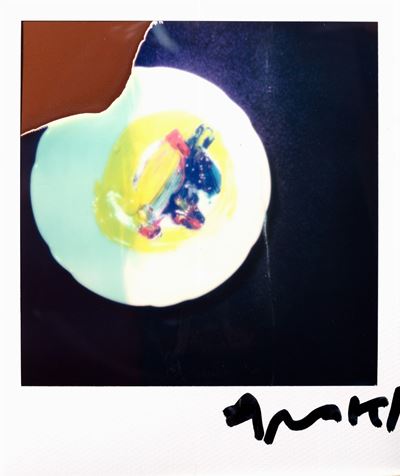 Senza titolo (Colori), Polaroid