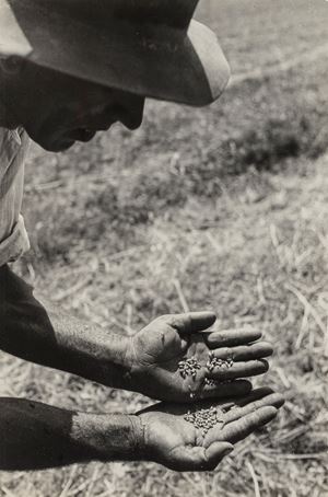 Senza titolo (Agricoltore)