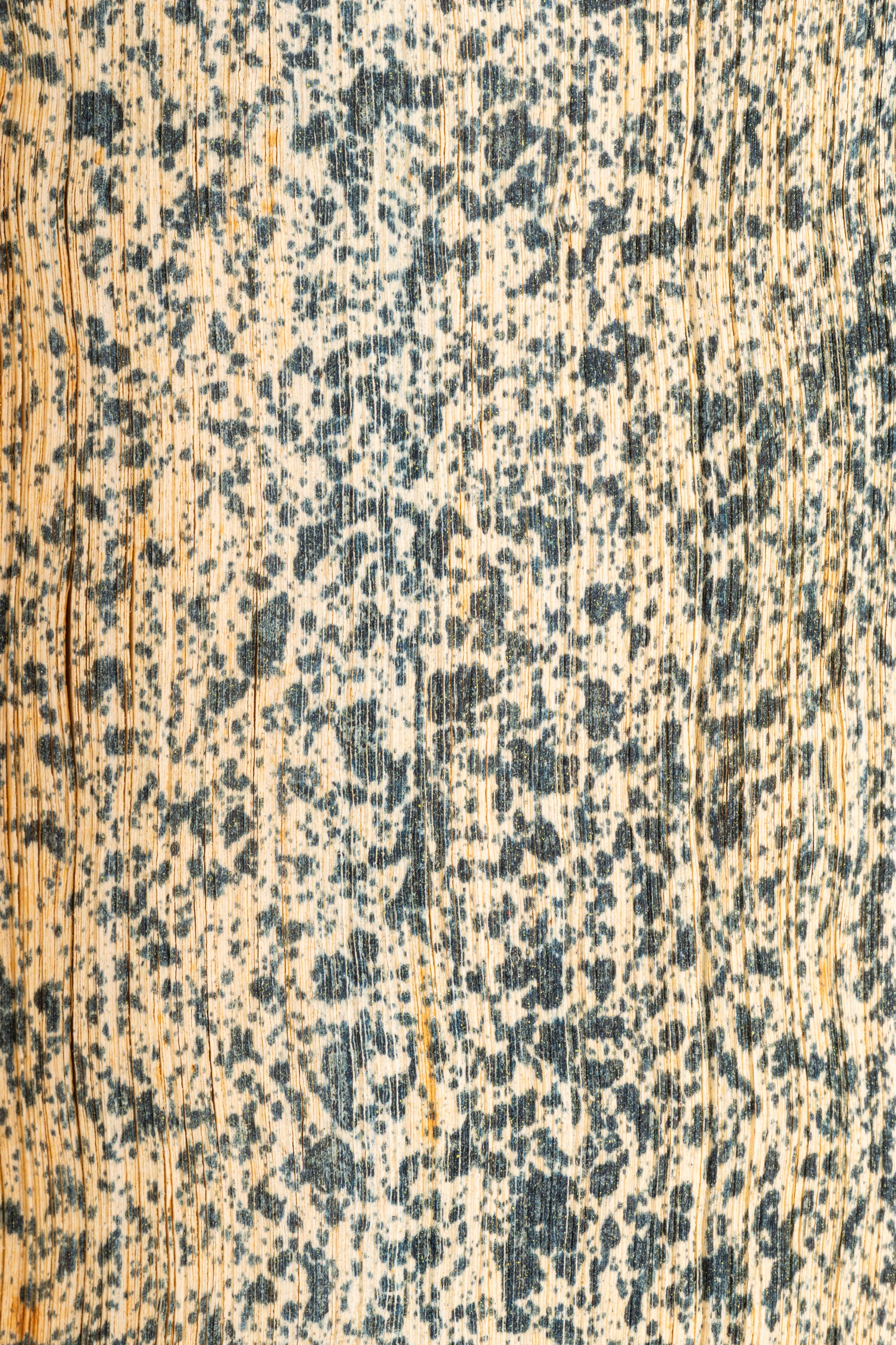 Sicilia sacra disquisitionibus, et notitiis illustrata, ubi libris quatuor