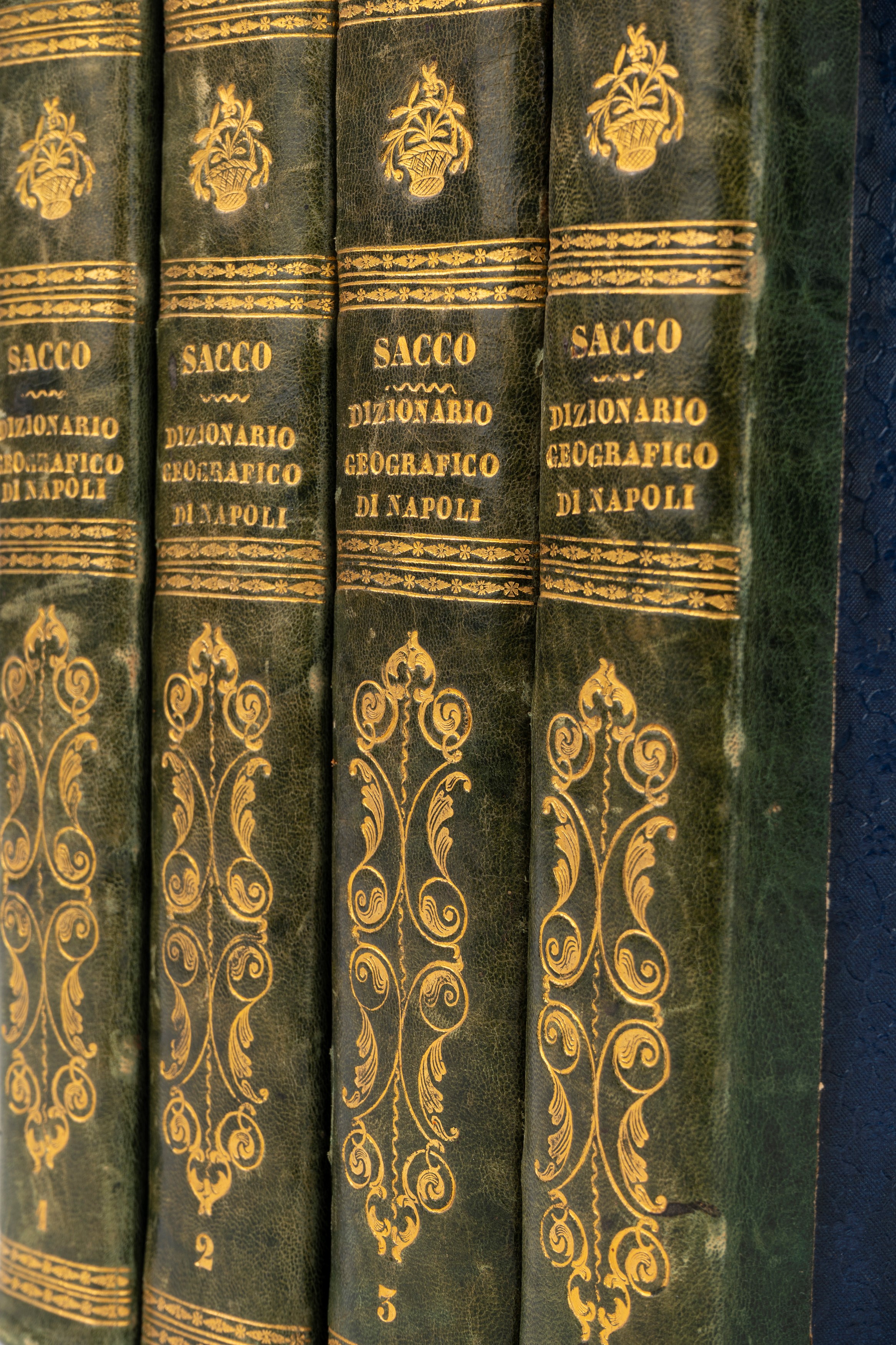 Dizionario geografico-istorico-fisico del Regno di Napoli