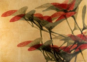 Paese del calmo mattino