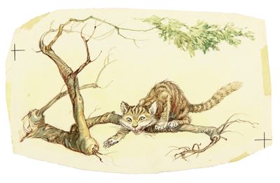 Alice nel Paese delle Meraviglie