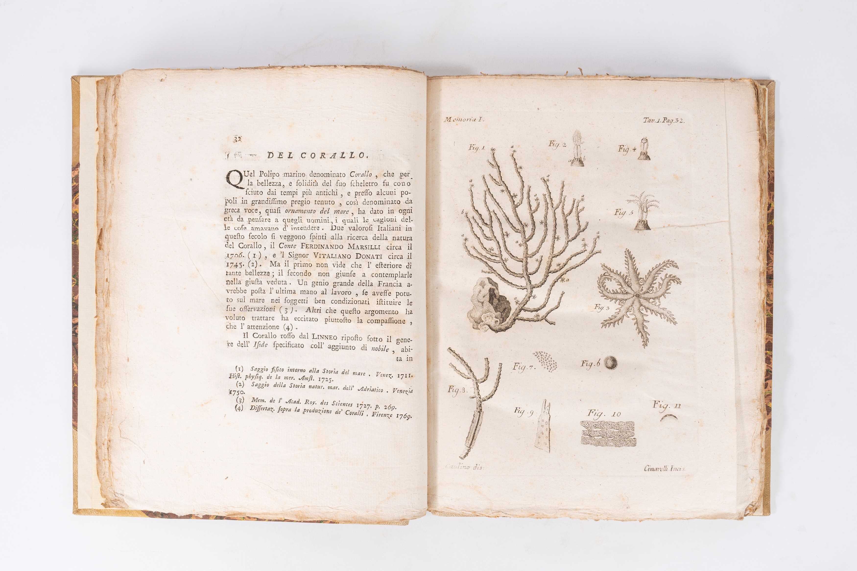Memorie per servire alla storia de' polipi marini