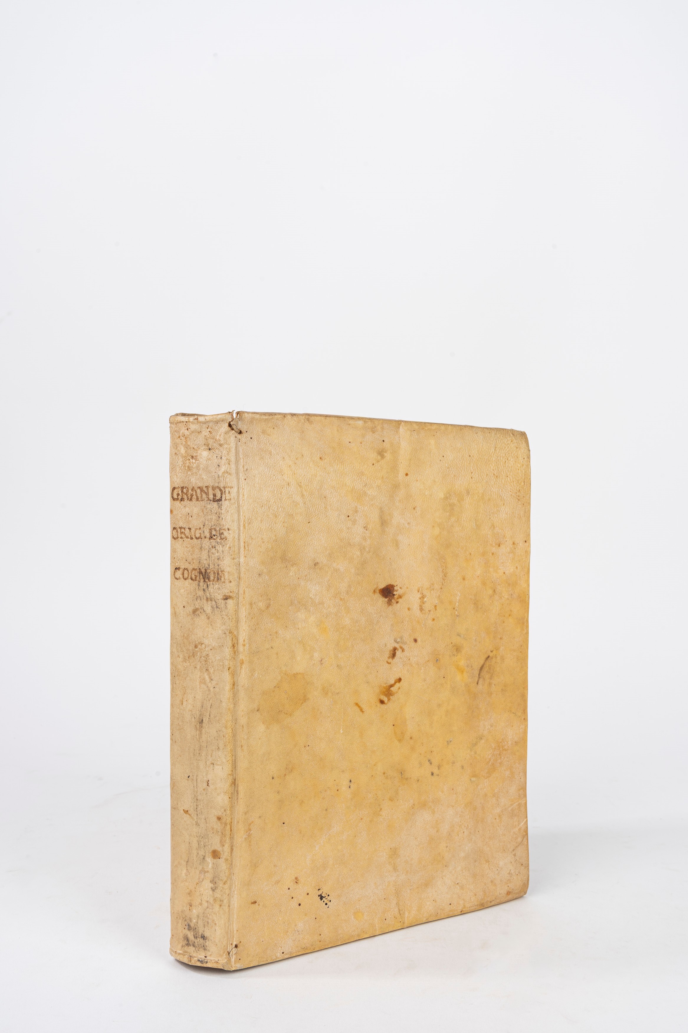 Origine de' cognomi gentilizj nel regno di Napoli