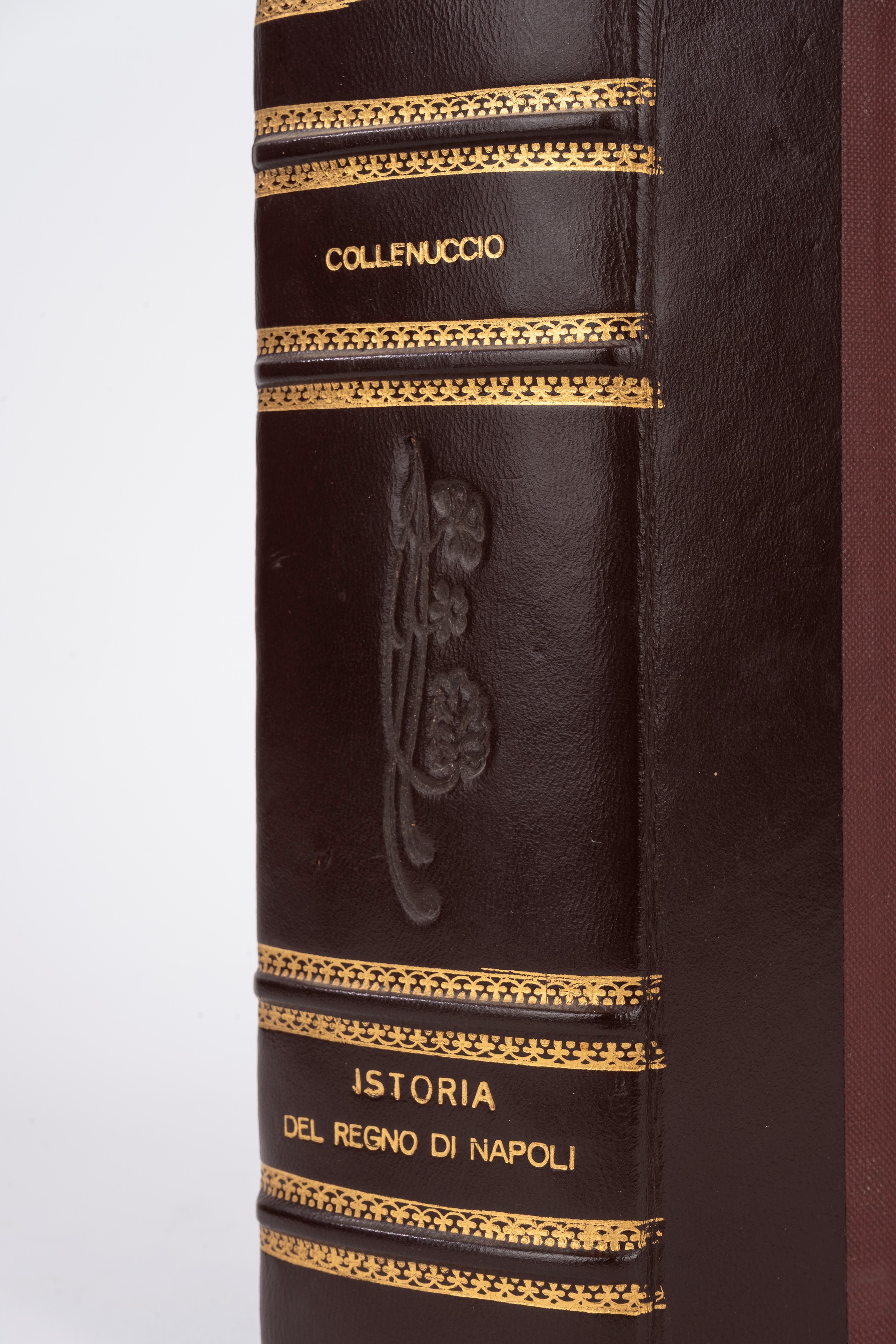 Compendio dell'istoria del regno di Napoli. Di Pandolfo Collenuccio da Pesaro, di Mambrino Roseo ...