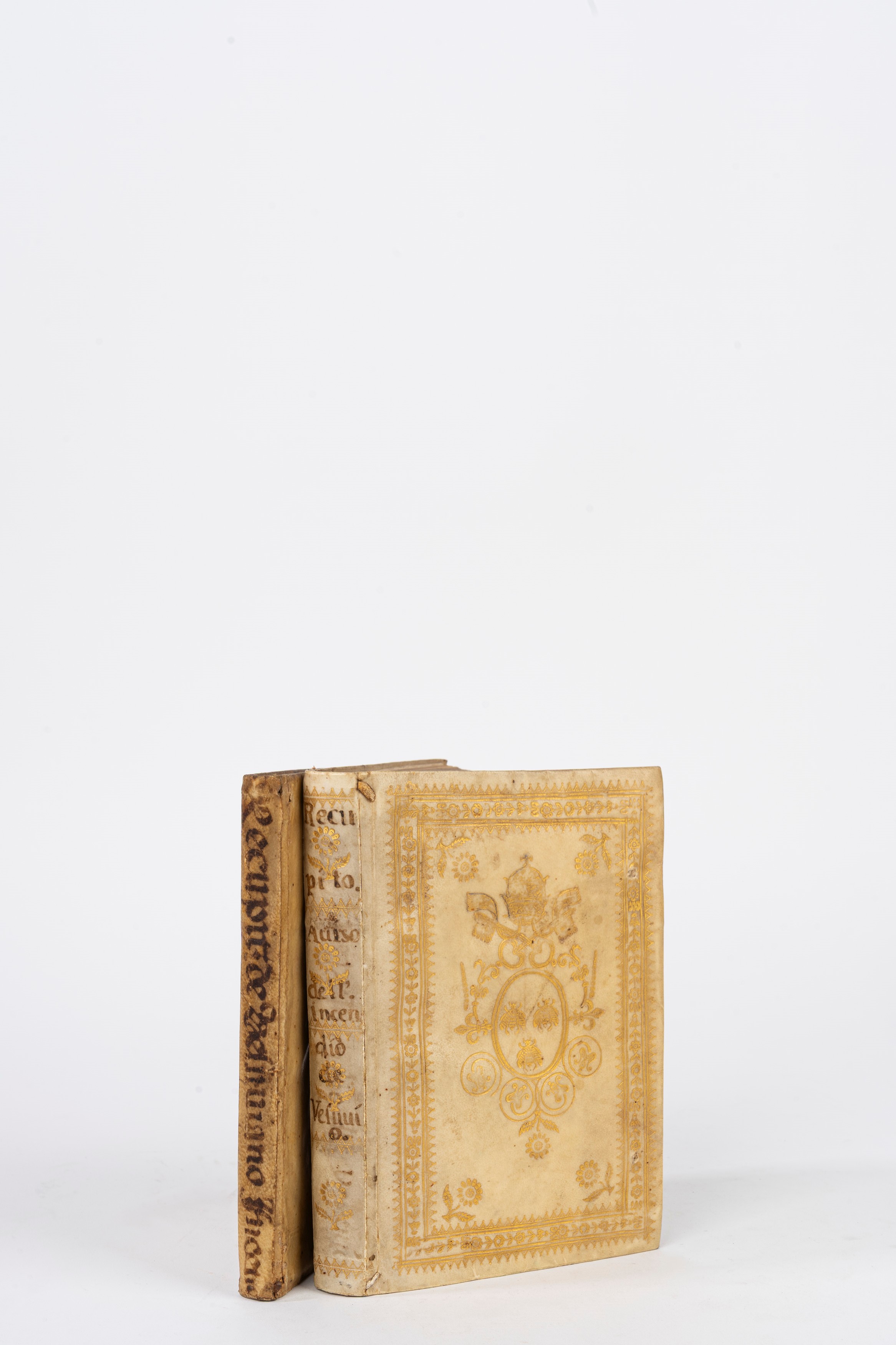 De Vesuviano incendio nuntius in lucem iterum editus