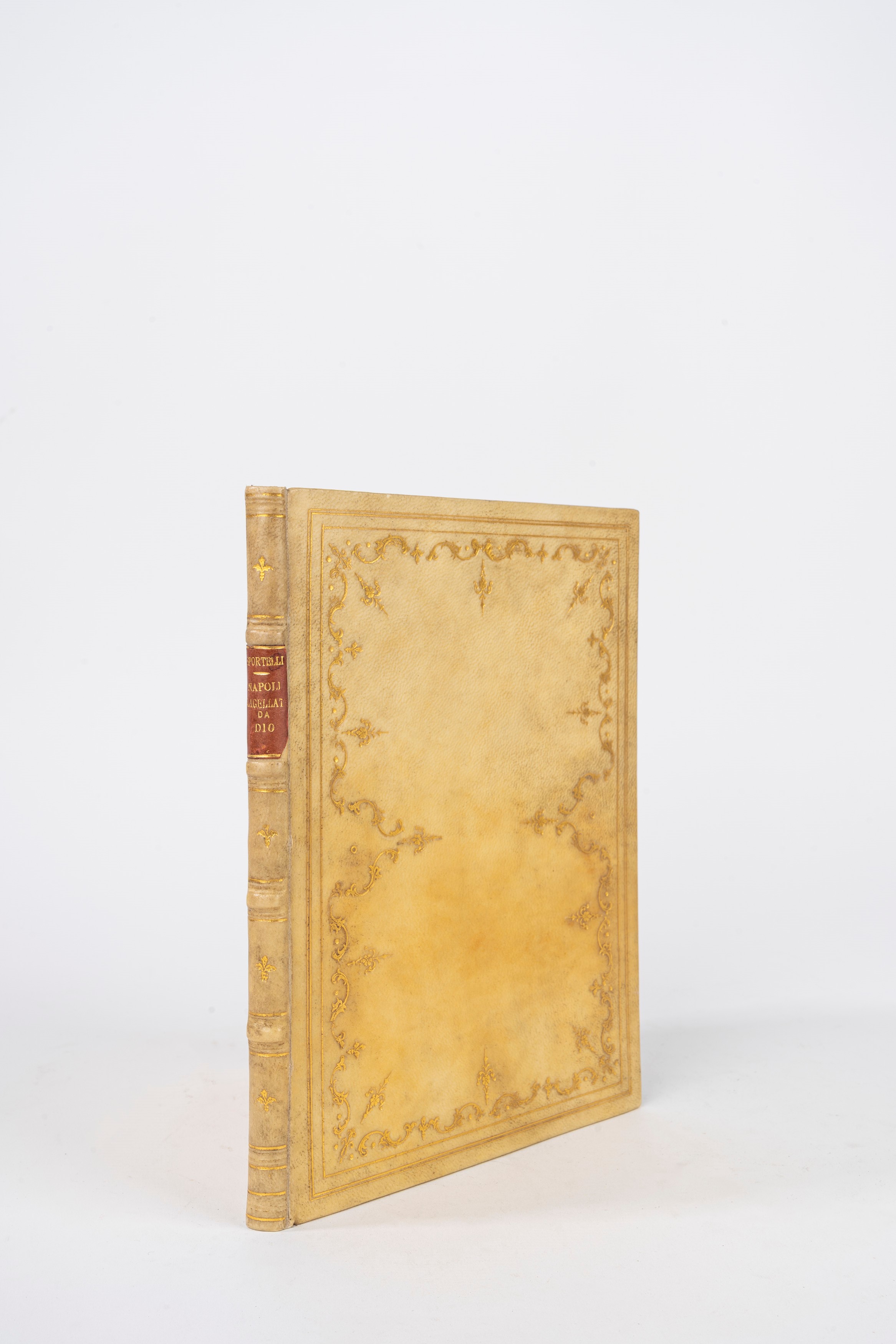 Napoli flagellata da Dio con l'horribilissimo terremoto